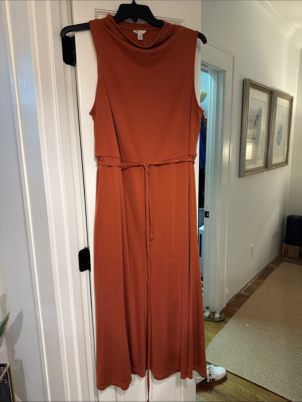Sleeveless Rust Maxi Dress with Waist Tie